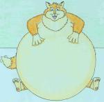 Caleb Fox - Huge Belly