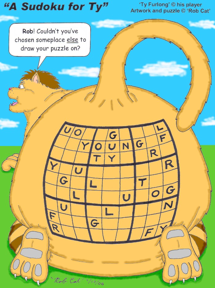 Sudoku for Ty