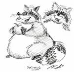 Raccoon_Doodle.jpg