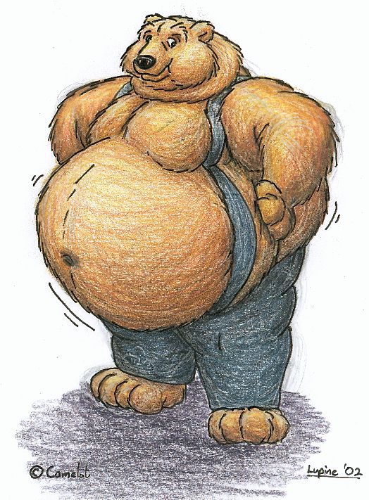 Cambear.jpg