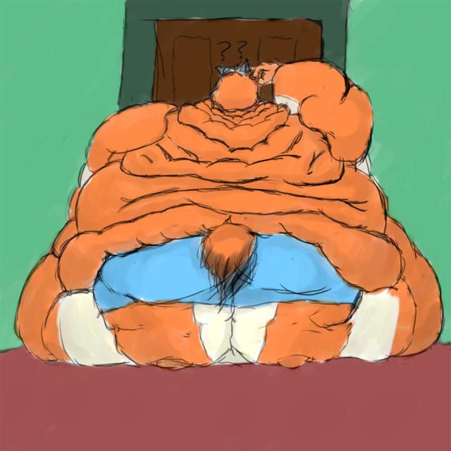 fox3.jpg