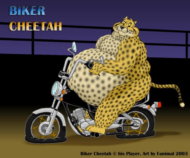 BikerCheetah_motorcycle.jpg